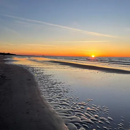 Natura D33 Porto * 웨바