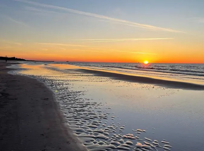 Natura D33 Porto * וובה